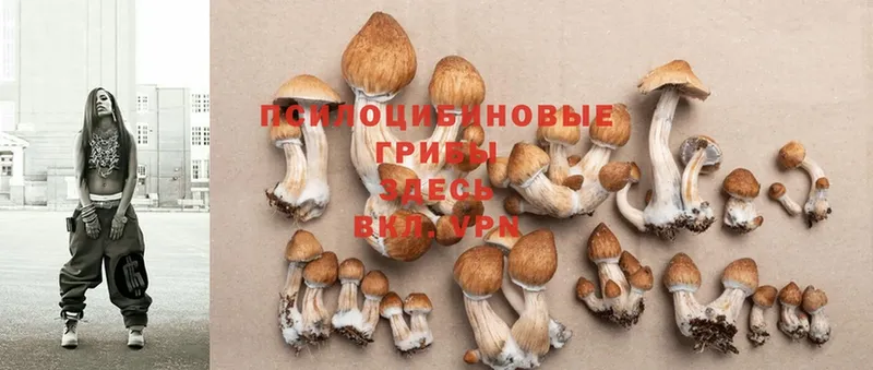 Псилоцибиновые грибы Psilocybine cubensis  наркота  Николаевск-на-Амуре 